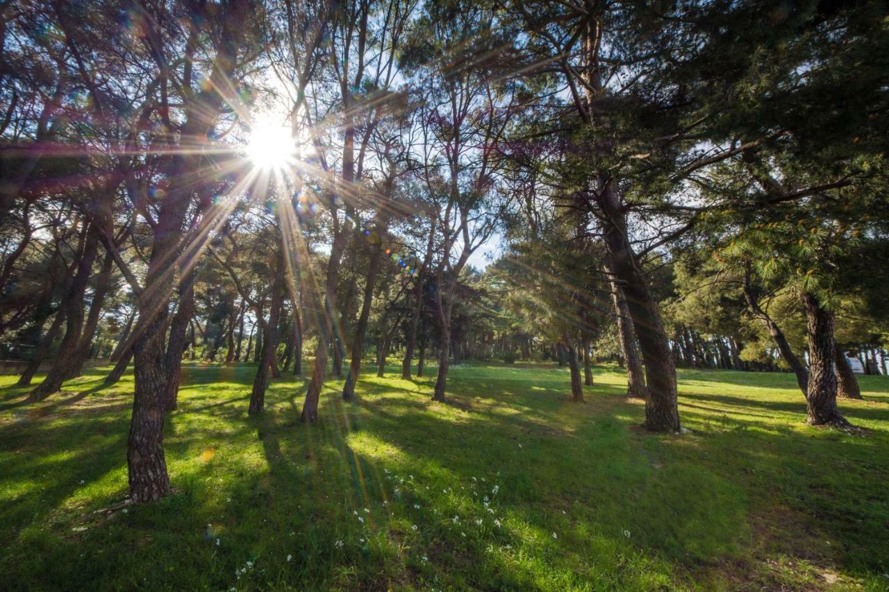 Appartamento Piccola pineta Pola Esterno foto